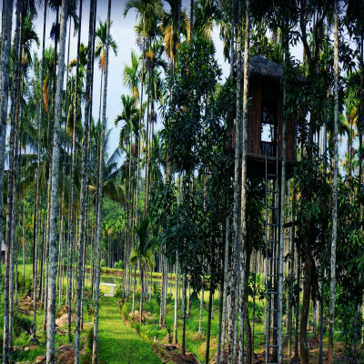 Coorg Package Tour